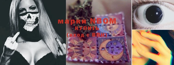 индика Елабуга
