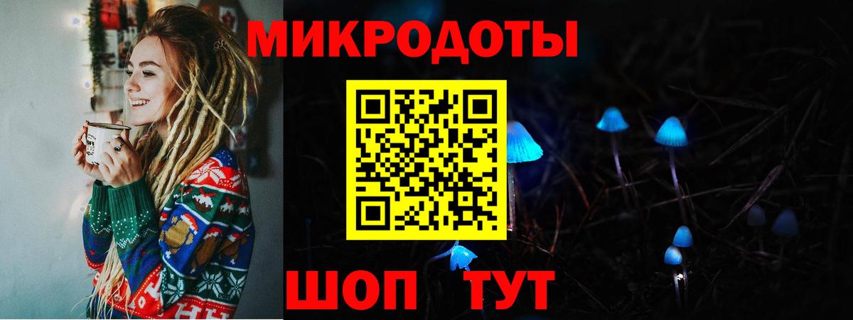 Арзамас  Галлюциногенные грибы Psilocybe  Вход с VPN 